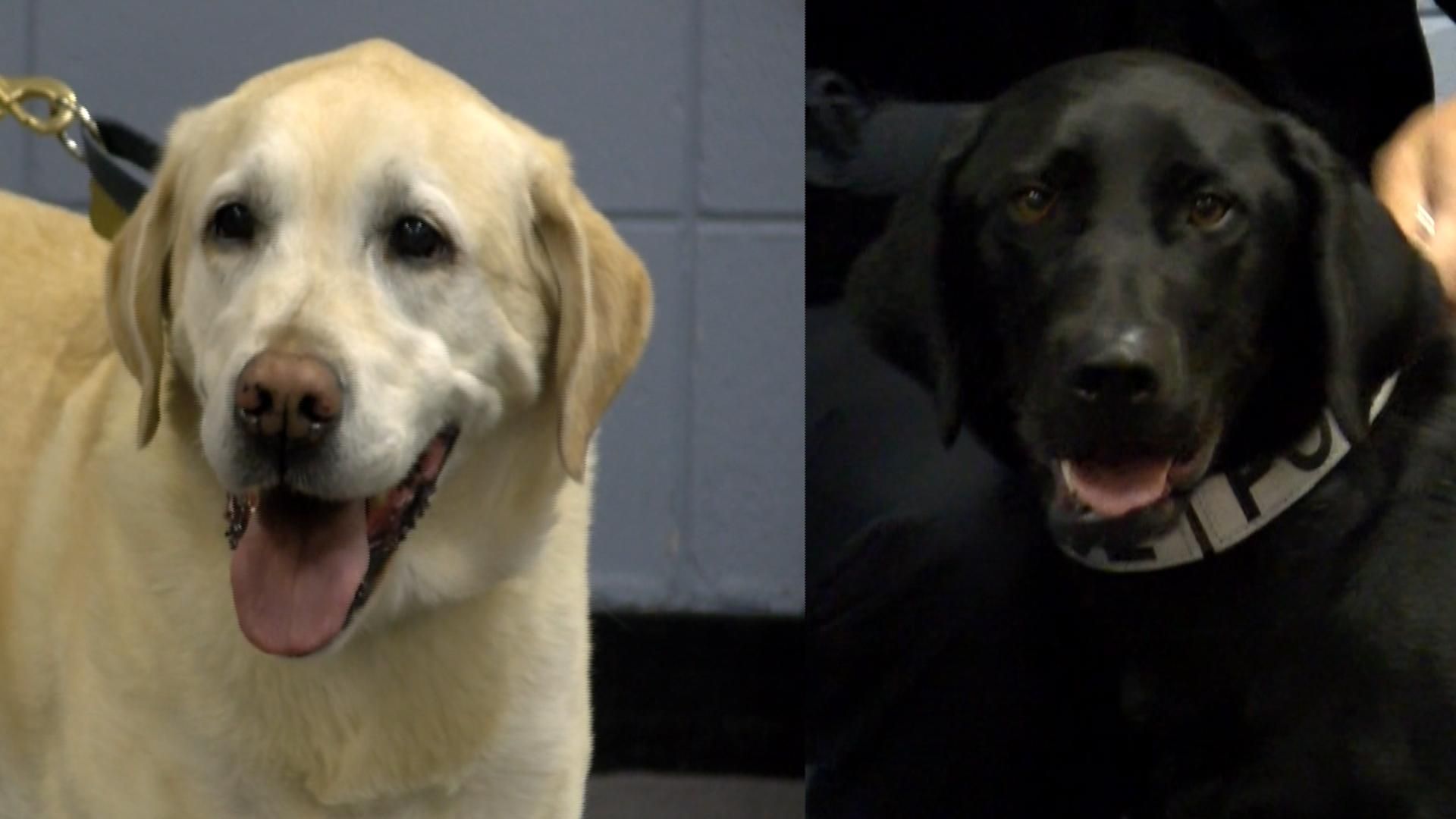 Home WXOW News 19 La Crosse, WI News, Weather and Sports